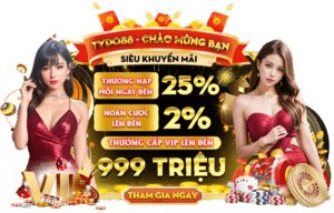 khuyến mãi thành viên mới tydo88 new